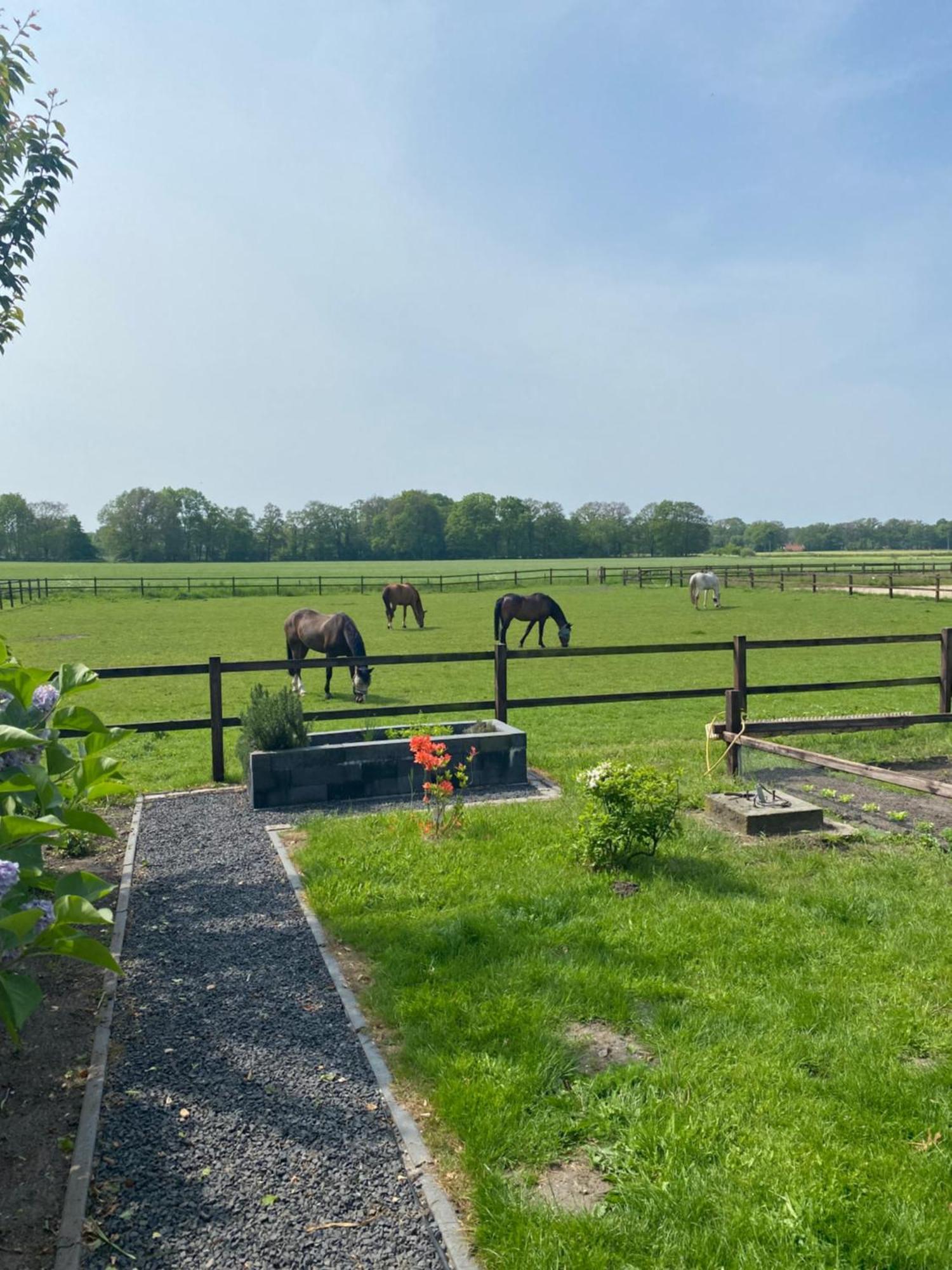 Erve Het Roolvink Boerderij Appartementen 40-50 M2 Enschede Exterior foto
